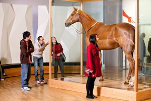 Visitors looking at horse Phar Lap 